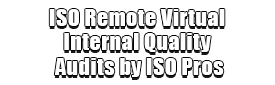 ISO Remote Virtual Internal Quality Audits by ISO Pros Logo